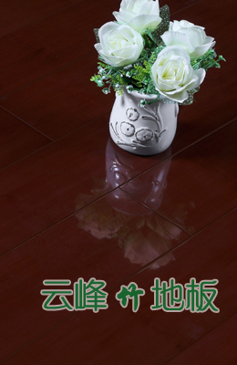 尊贵系列茶色