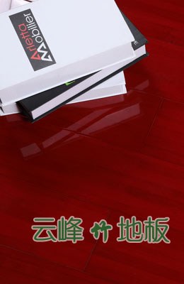 尊贵系列桔红