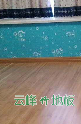 效果图